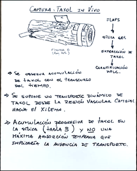 Imagen de la pantalla de un celular con letras
Descripción generada automáticamente con confianza media